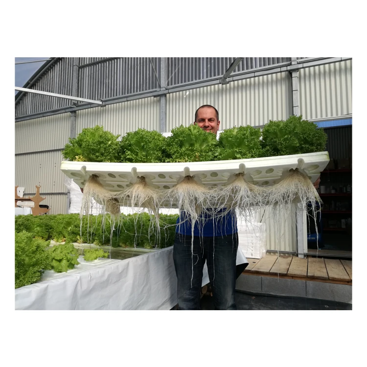 Extremely Qualified Hydroponics/Aquaponics Project Consultation Service