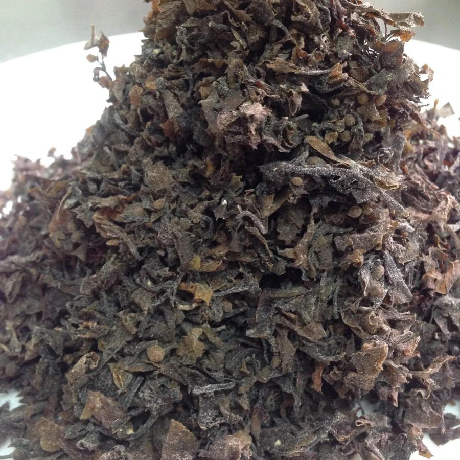 Viet Nam Dried Sargassum Seaweed Sargassum Seaweed Powder With High Quality 0084947900124