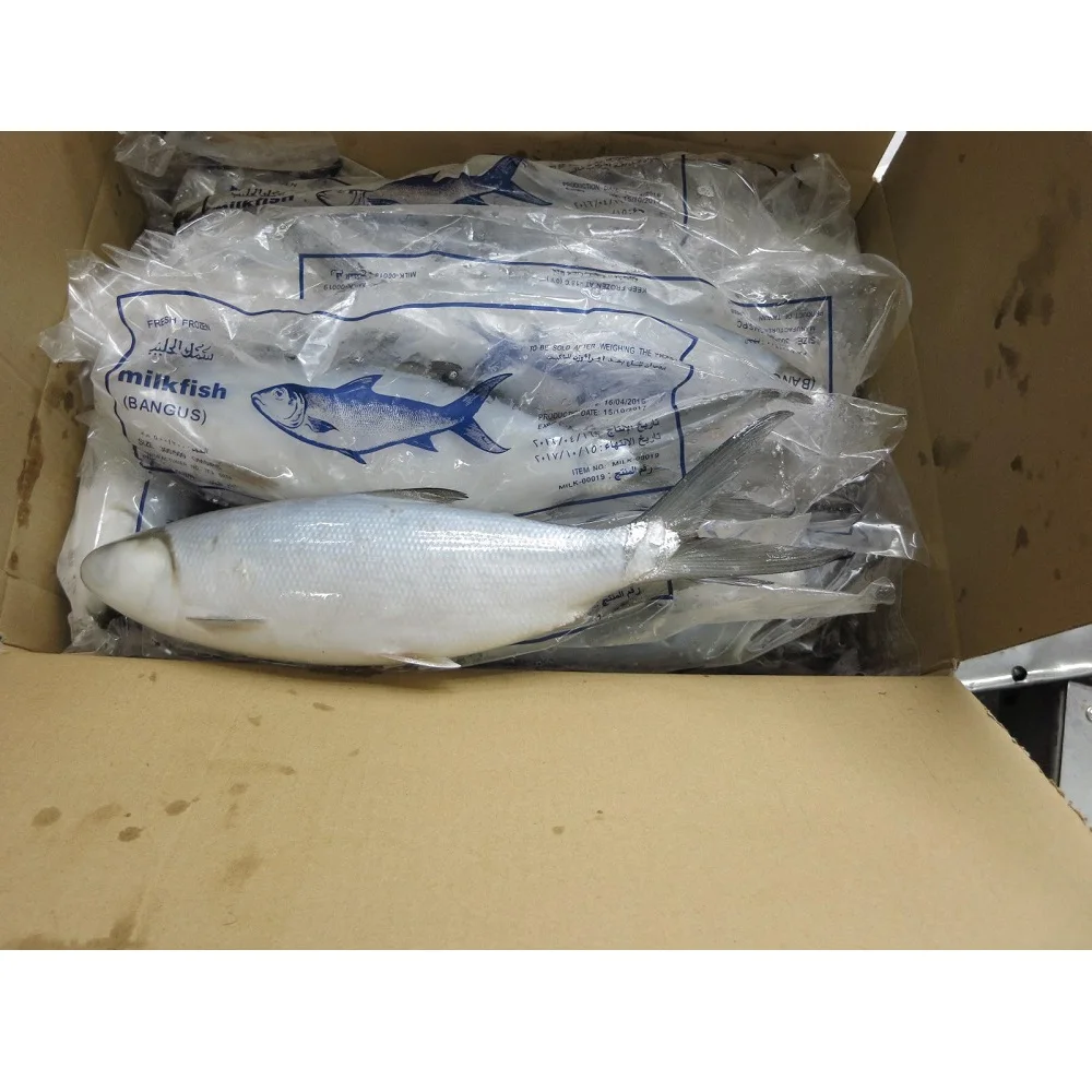 Indonesia Chanos Chanos Frozen Milk Fish Whole Round with IQF Freezing 18 Months Shelf Life Various Sizes 10kg/ctn