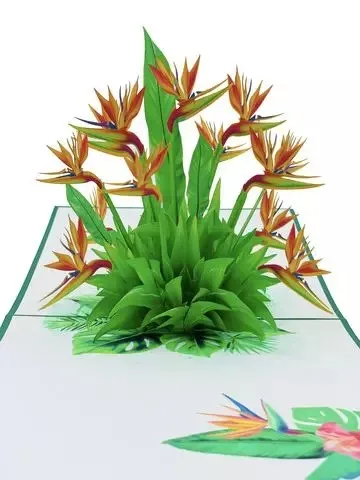 Bird Of Paradise Flowers 3D Pop Up Card Handicraft Flowers Greeting Paper Vietnam Blossom Flower Wholesale Handmade Kirigami