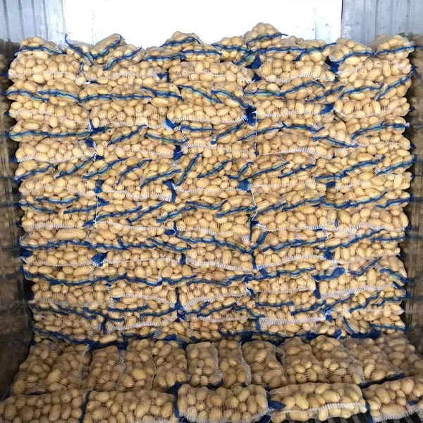 Top Quality and Low Price fresh Mozika Potatoes for french fries