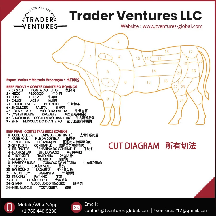 frozen beef cut diagram.jpg