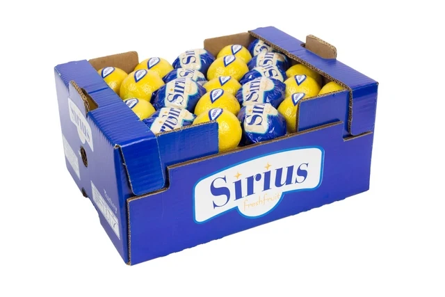 
Fresh Lemon Yellow Citrus New Season 