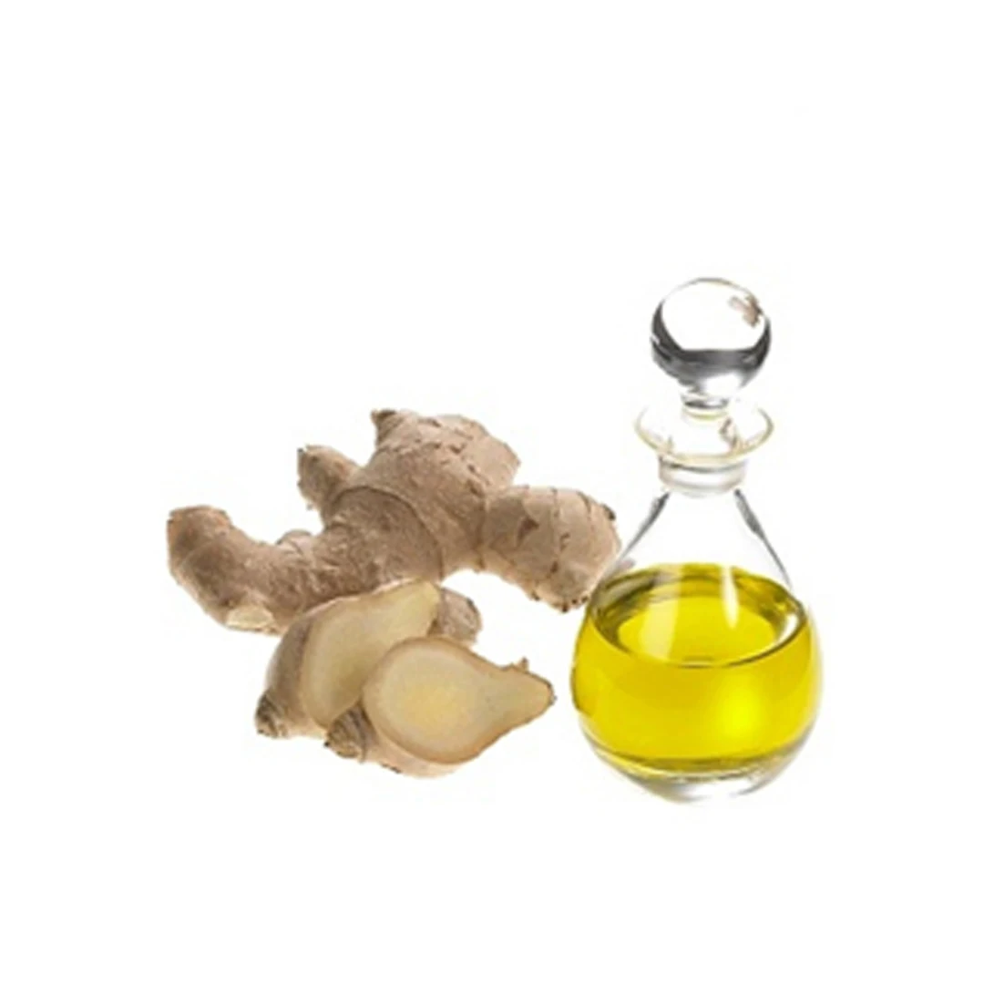 Bulk Supplier of Ginger Essential Oil of Premium Brand at Lowest Price