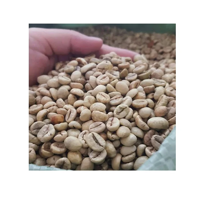 ARABICA GREEN COFFEE BEANS (PITA +8 797987481)
