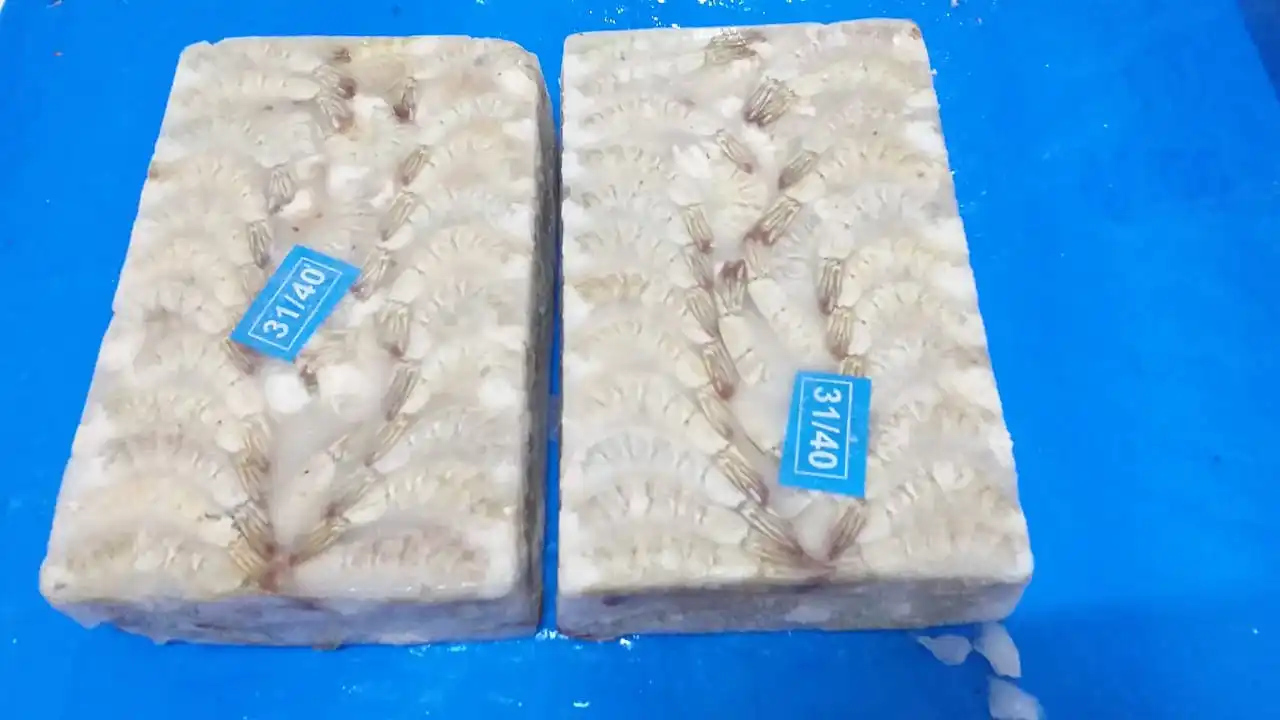 IQF PDTO VANNAMEI SHRIMPS INDIAN ORIGIN SIZE 31/40 PEELED DEVEINED VANNAMEI SHIMPS