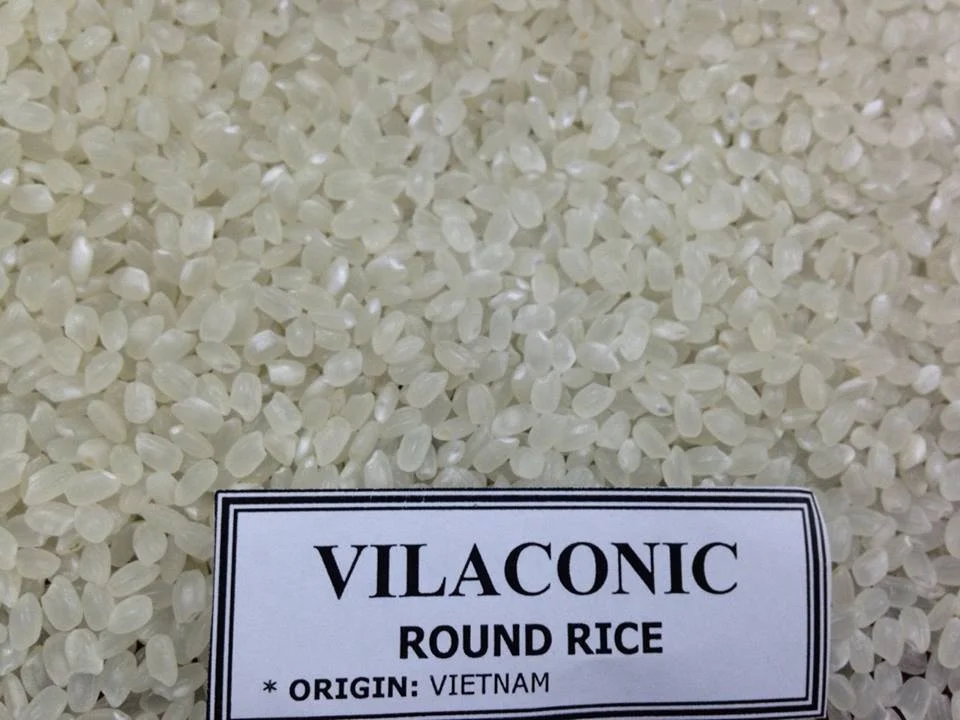 
Vietnam round rice/Japonica round rice/White round grain rice( 0084989322607 whatsapp Linda) 