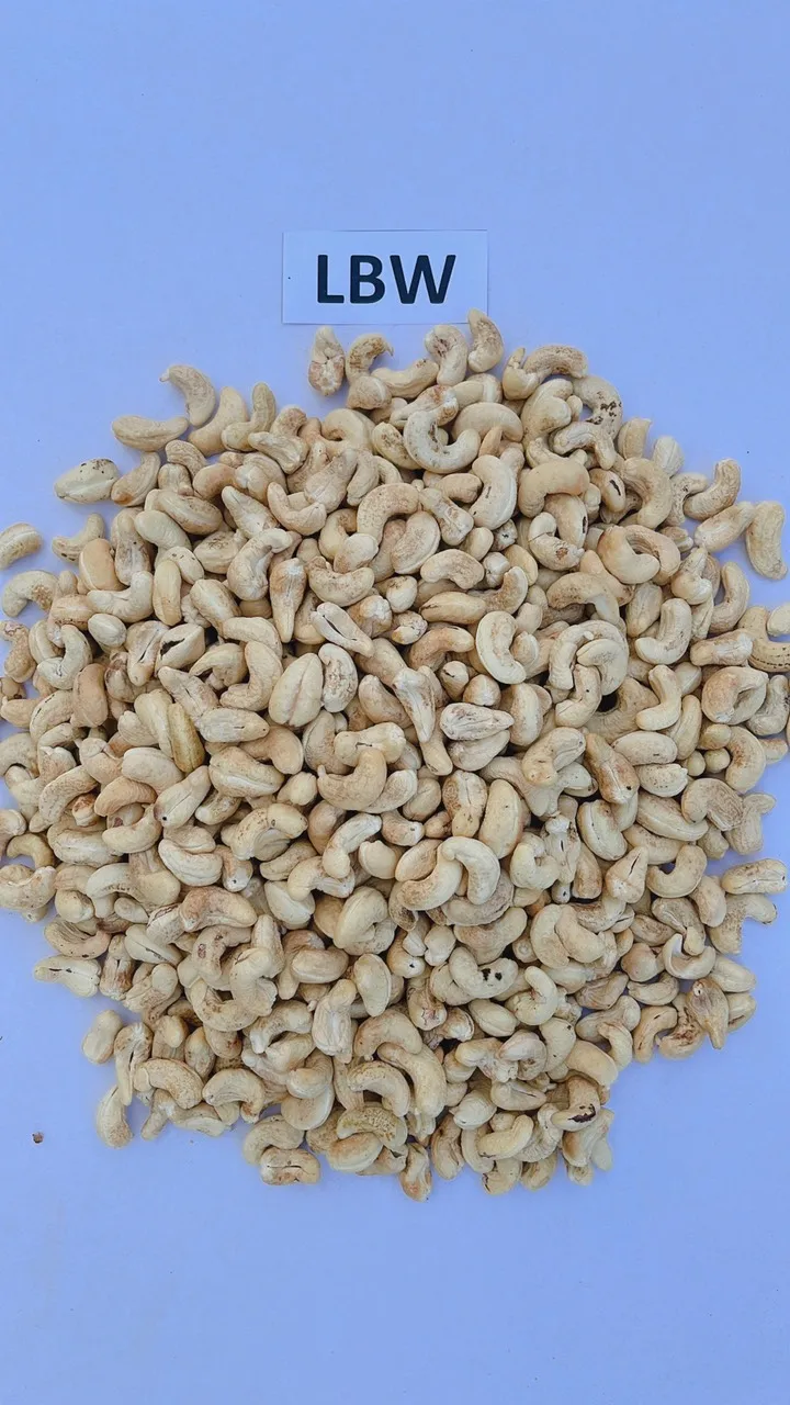 Wholesale vietnam cashew nut Roasted nuts snack bag cashew nut kernels w240 w450 w320 LBW