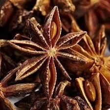 Оптовая продажа капсулы сушеного аниса весенний урожай Осенний звезды иллициума веревочные в форме звезды/Shyn Tran + 84382089109