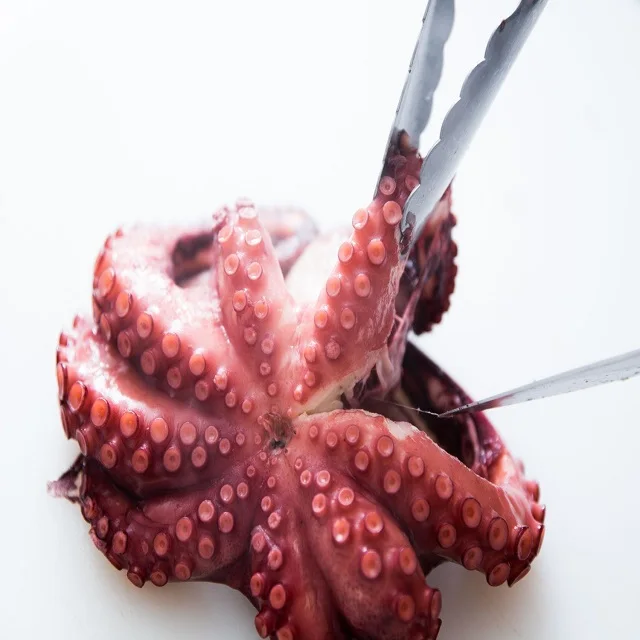 Hot sale wholesale frozen chuka tako octopus price