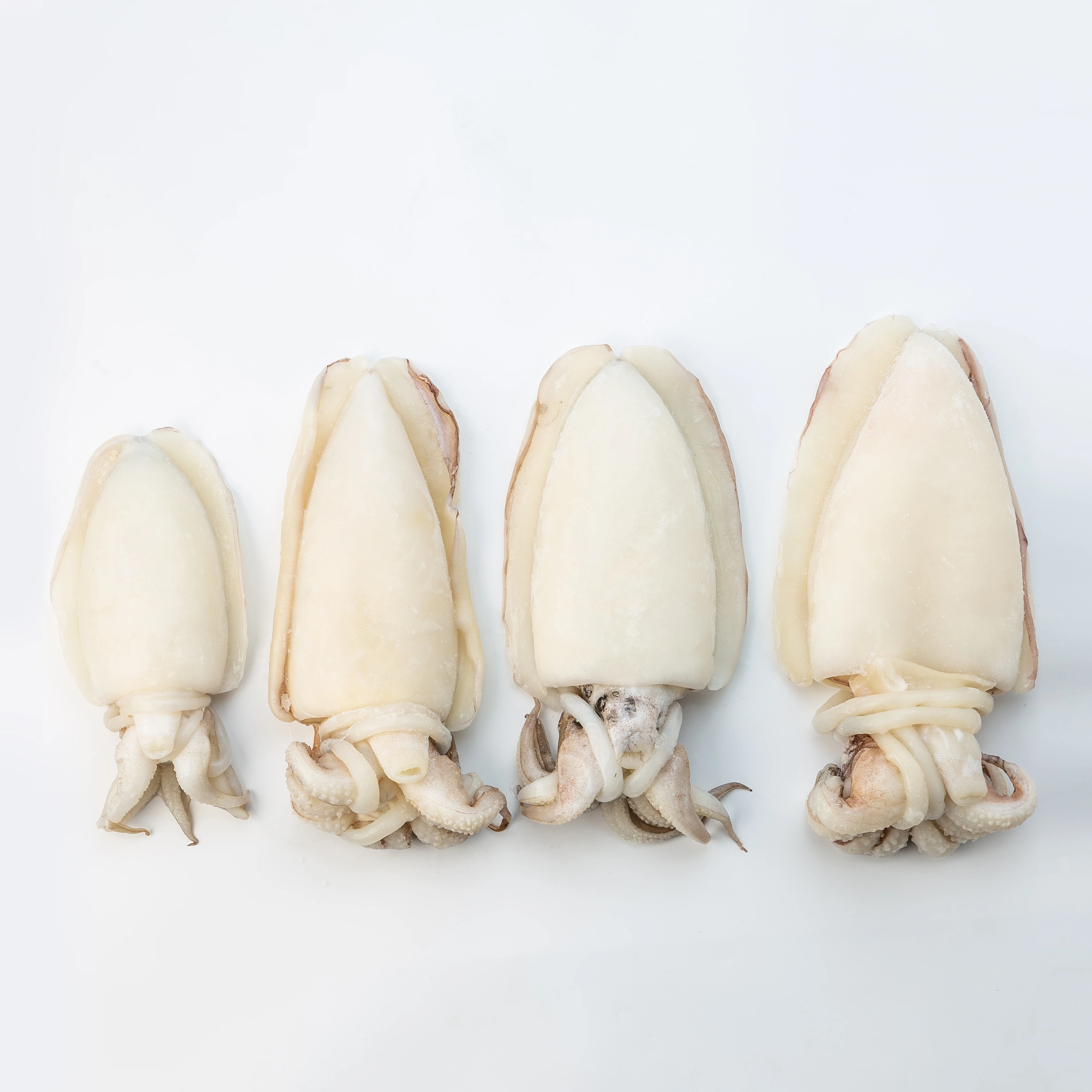 Frozen Whole Cleaned CUTTLEFISH IQF
