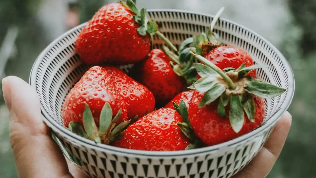 Оптовая продажа клубника лучшего качества по