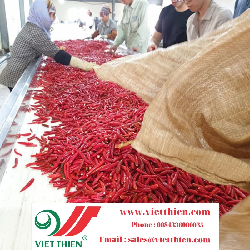 Замороженные перцы Чили вьетнамские сельскохозяйственные продукты экспортируются с высоким качеством и хорошей ценой особенно очень безопасны