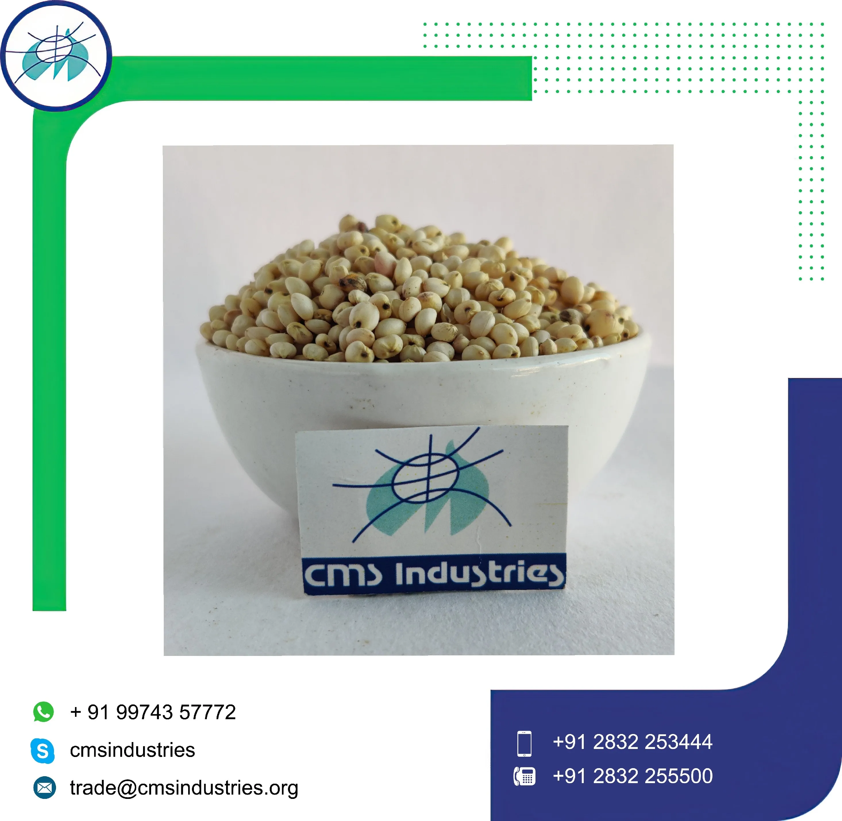  Сорго индийского ведущего поставщика