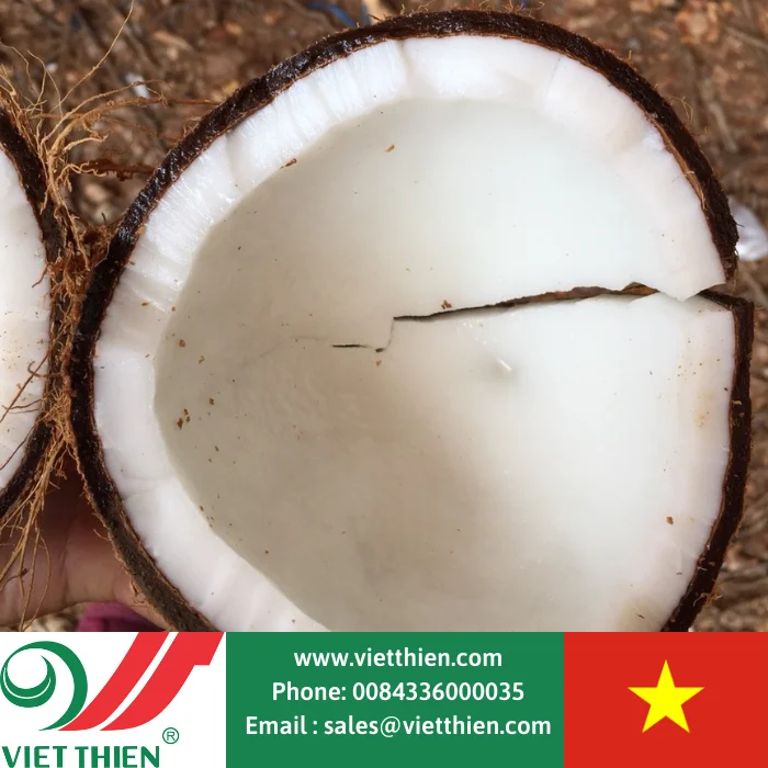 
Dried coconut copra low moisture content, high oil content, suitable for processing and producing coconut oil 