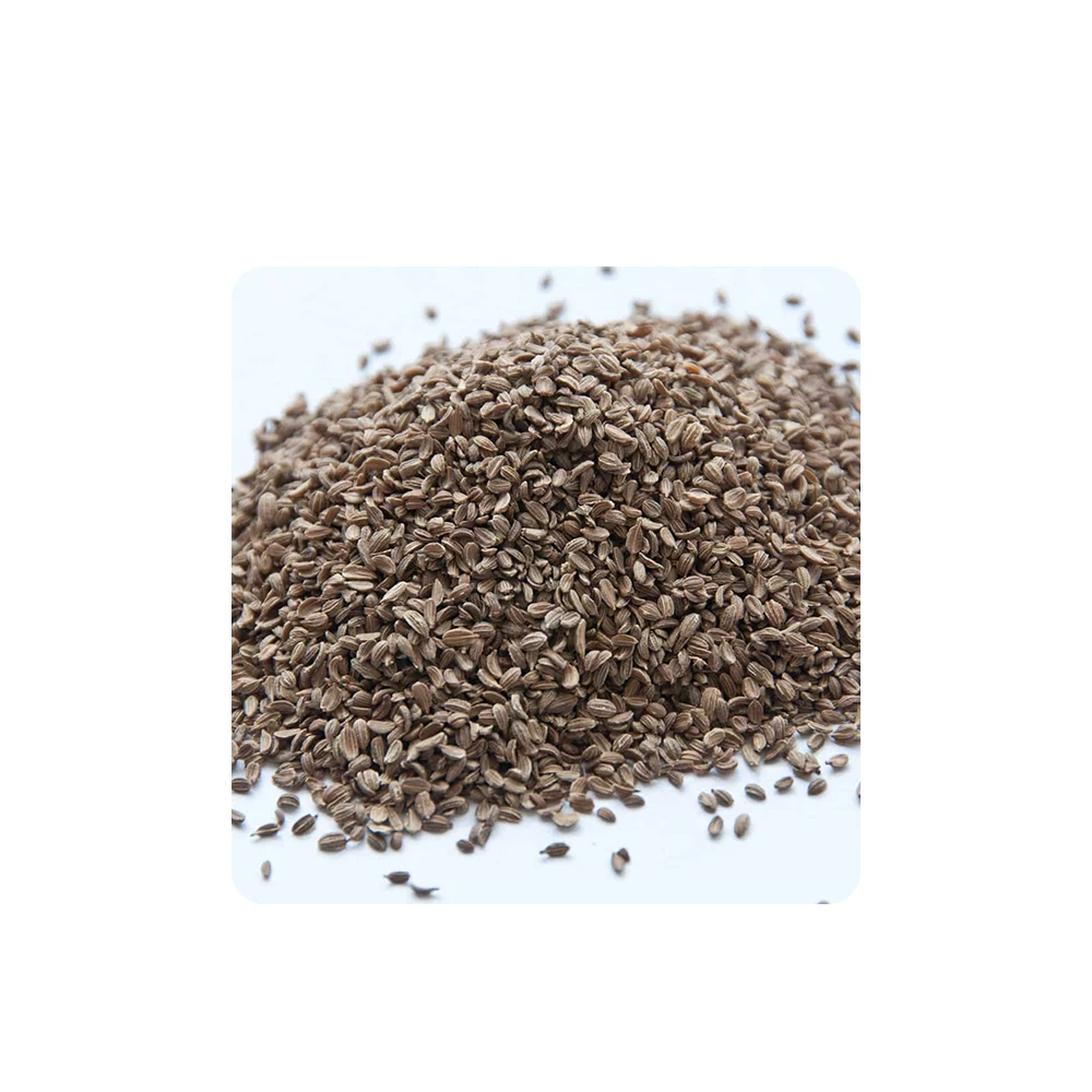 Hot Selling 100% Pure Organic Carrot Seed Essential Oil gives antimicrobial protection to skin and health available Lowest Price