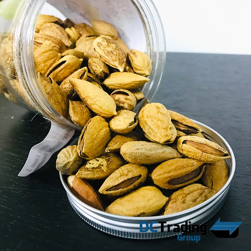 
Premium Almonds In Shell and Kernels Organic at Wholesale Competitive Price 