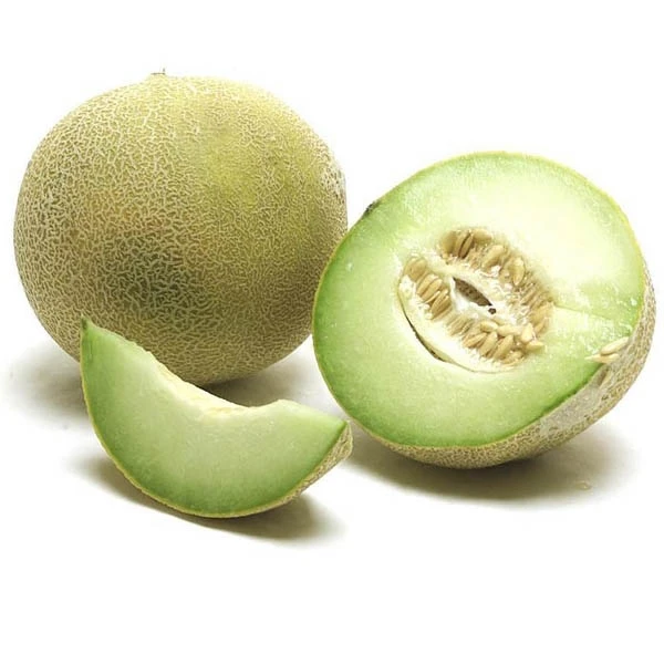Quality Galia Melon For Sale
