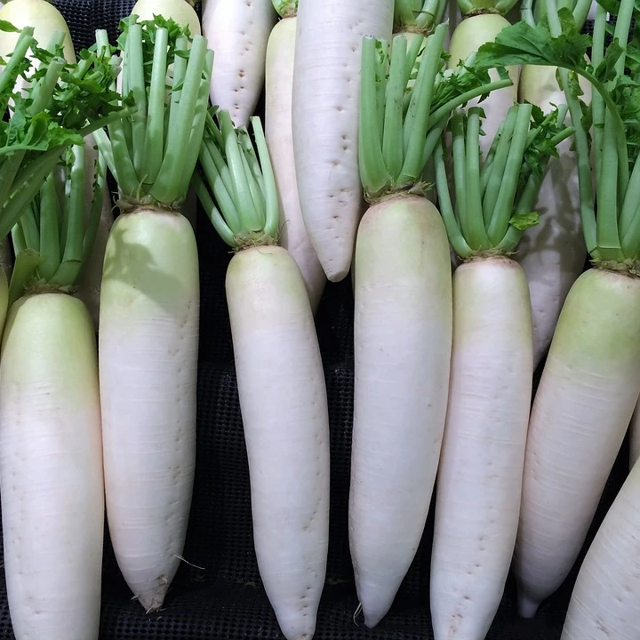 Fresh Radish.jpg