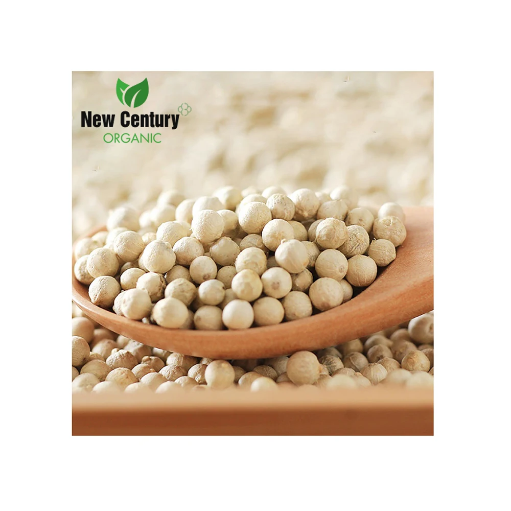 
100% Organic White Pepper in Vietnam - FREE SAMPLE 