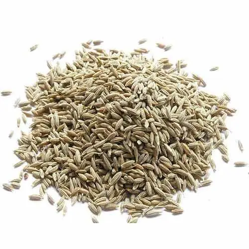 India wholesale export high quality Dried cumin seeds