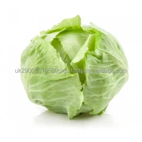 cabbage2.jpg