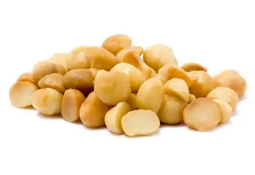 Top Grade Raw And Roasted Macadamia Nuts Wholesale Price Raw And Roasted Macadamia Nuts