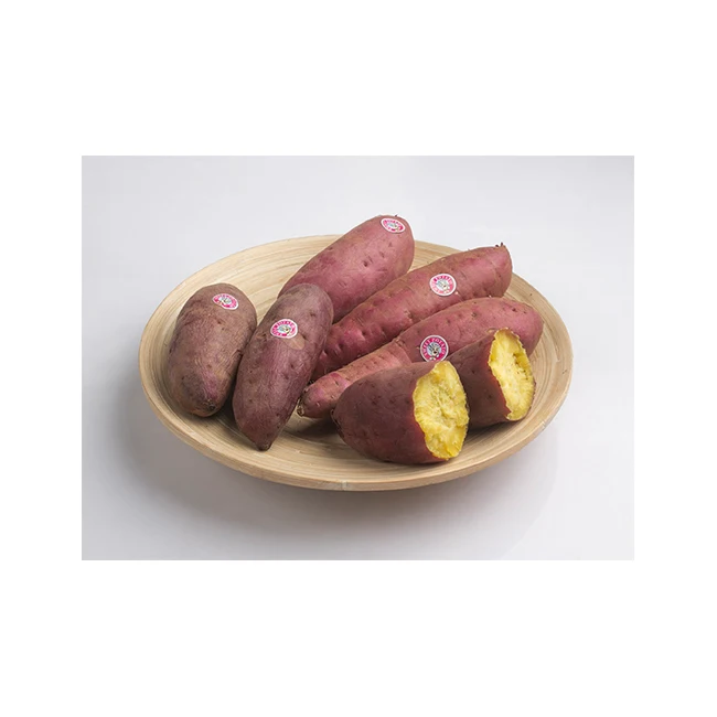 
Japanese Sweet Potato Delicious from Orgenic Farm Premium Quality for 100% Export 
