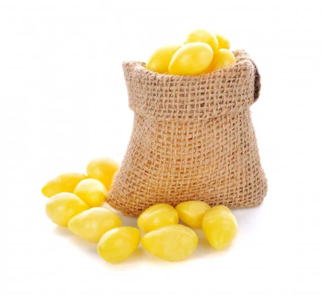 Premium fresh and dried Ginkgo Nuts Roasted wholesale Ginko Nuts for Sale best price