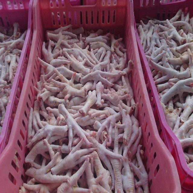 Fresh Frozen Halal Chicken Feet And Chicken Paw Manufacturers For Sale Wholesale