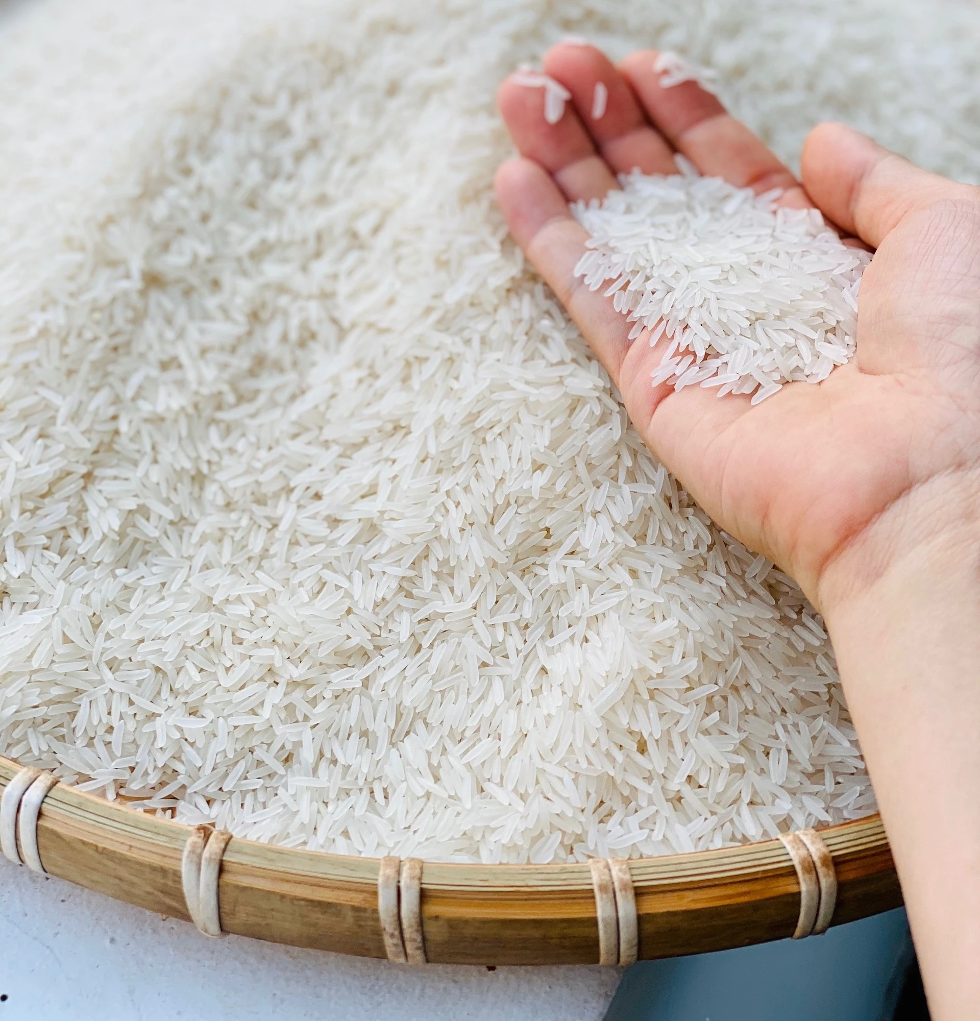 Оптовая продажа длительное зерно ароматный рис органический РИС ST 24 Вьетнам лучший поставщик