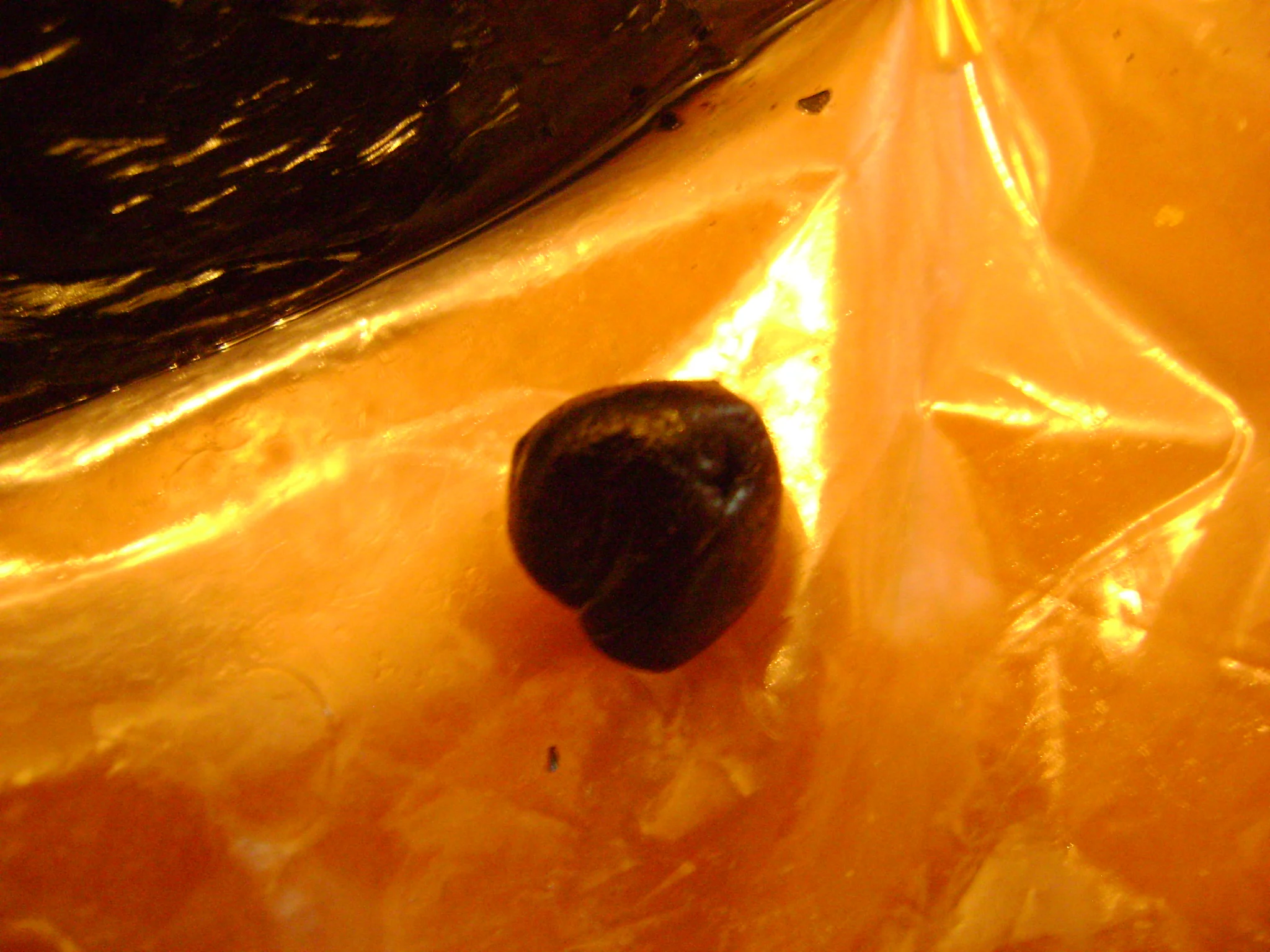 Shilajit resin , Altai Siberia Mumijo Russian