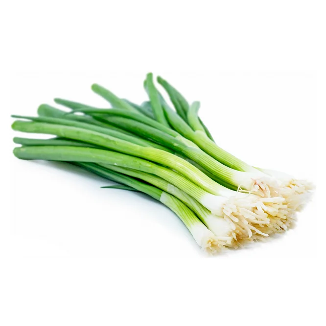 
Wholesale Dealer Of Fresh Vegetables Scallions Large Stock Available 