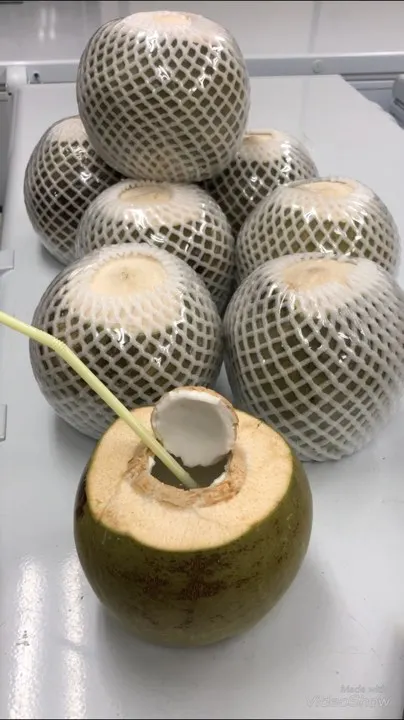 Coconut whole cheapest price from Vietnam reduce belly fat sell with High grade