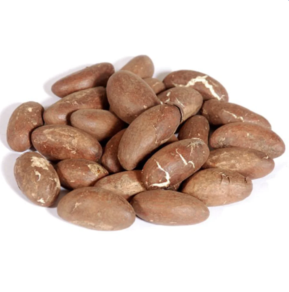 
Best Quality Bitter Kola Nuts 