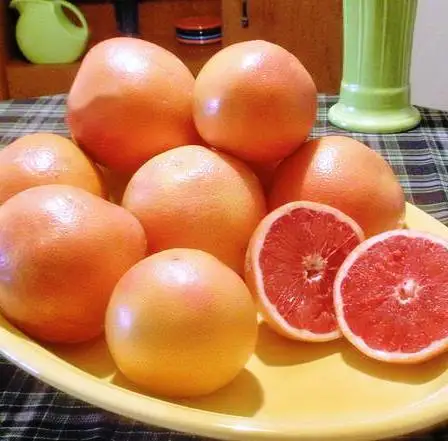 100% Fresh Grapefruit Orange From Pakistan
