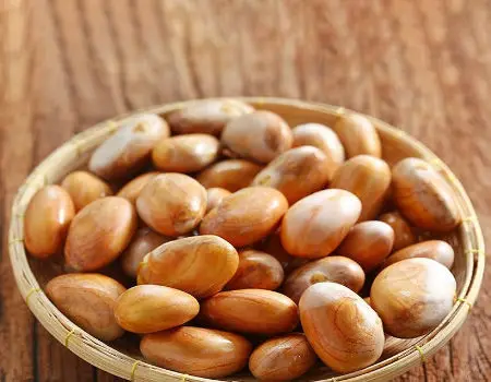 100% Natural Organic Dried Jackfruit Seed/High nutrition jackfruit seed/Dried Jackfruit Seeds Premium Quality made in Vietnam