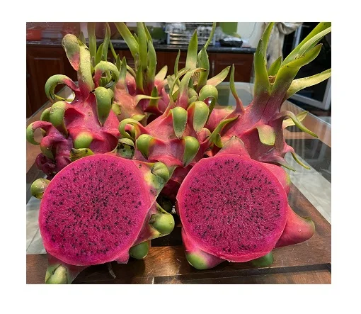 
Viet Nam Dragon Fruit Hylocereus polyrhizus - rich nutrition pitaya high quality red skin wholesale price free tax to EU Korea 