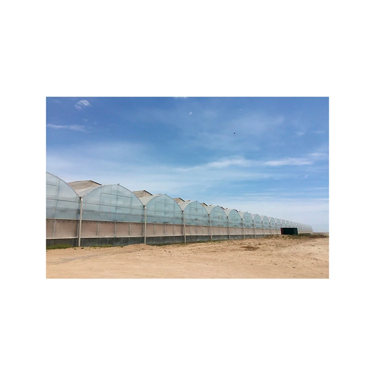 
Top quality commercial semi-closed greenhouse advanced ventilation system and pest protection, greenhous 
