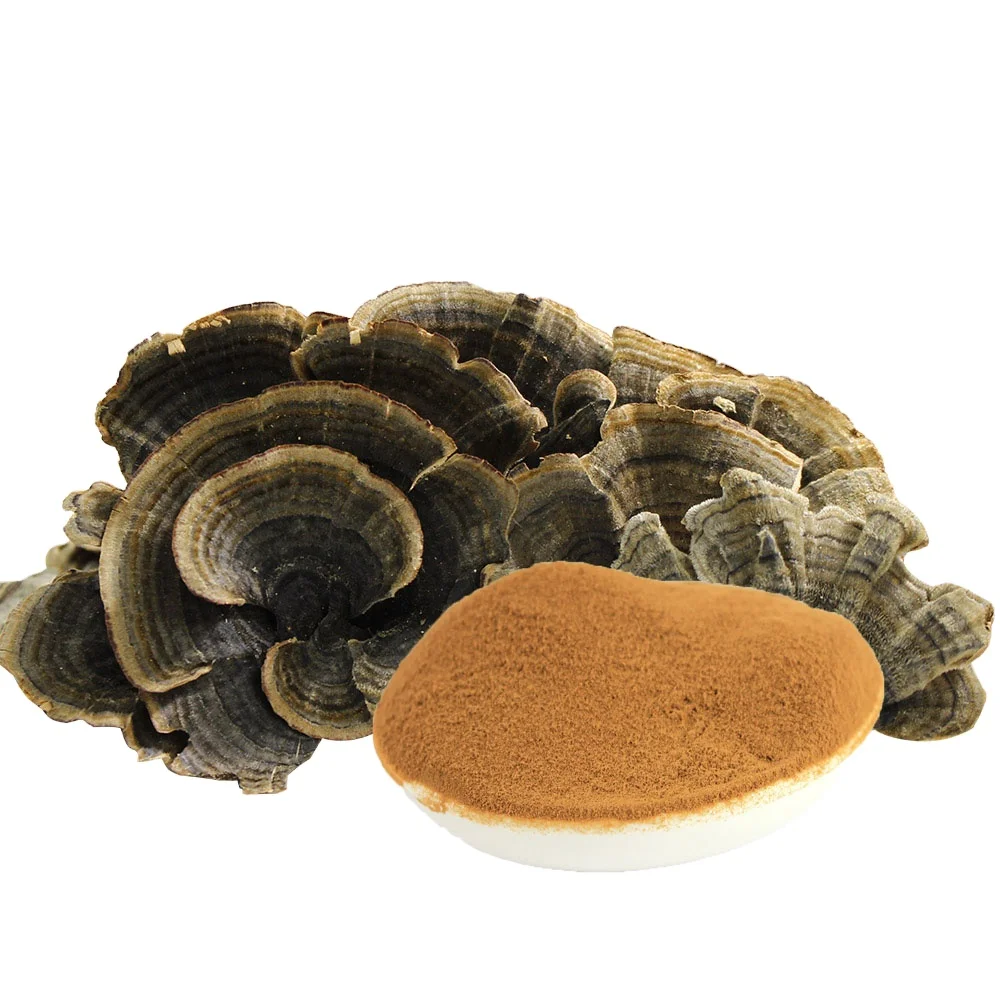 OEM Herbal 7 in 1 Mushroom Mix Extract Powder for Selling