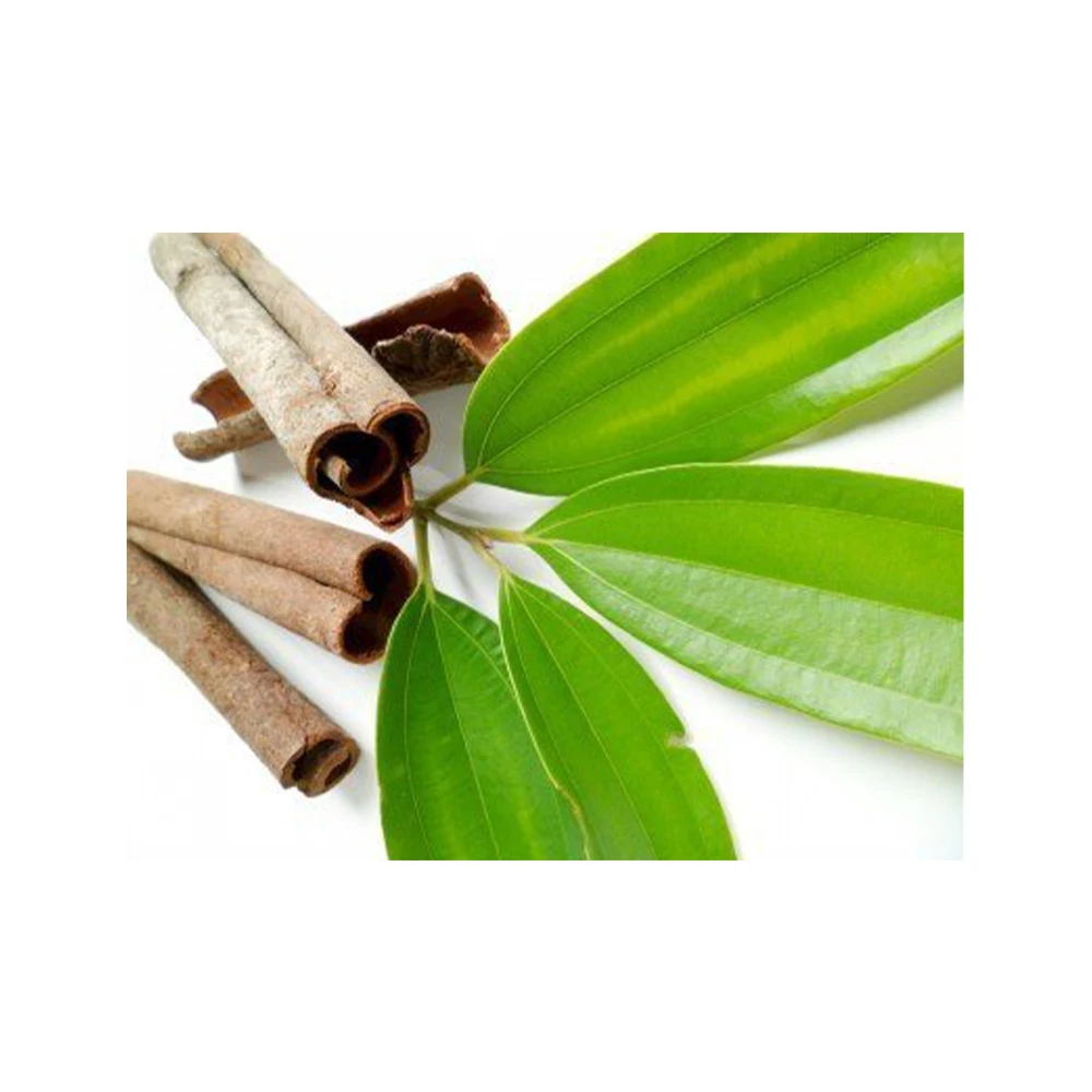 Best Remedy for Reduce Stress Cinnamon essential Oil from Indian Supplier