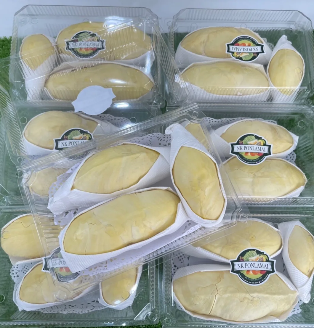 Fresh Durian Sweet Taste 500g Per Pack 100% Natural Premium Quality Durian From Thailand