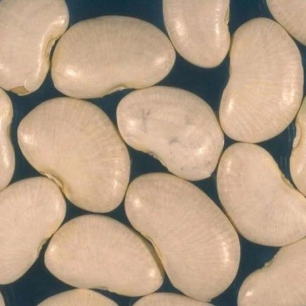 Organic White Butter