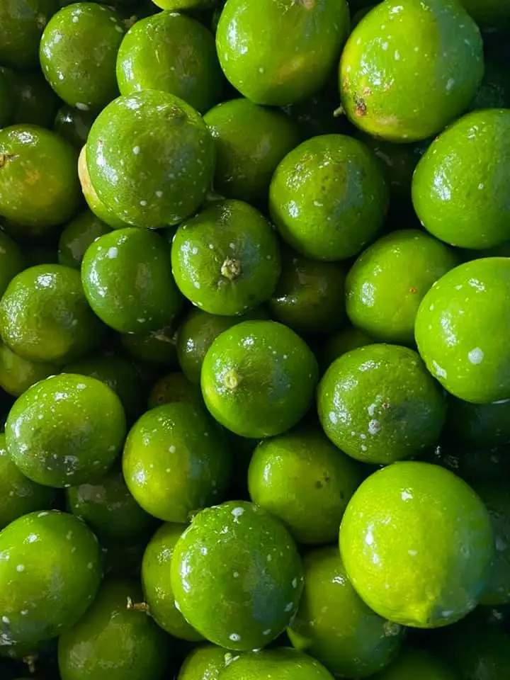 Свежие Цитрусовые фрукты OEM стиль экспортер качество конкурентоспособная цена индивидуальная поддержка вкус IQF процесс замороженный Лайм пюре из