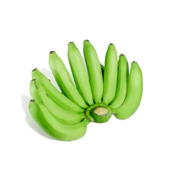 Fesh Cavendish Banana from Vietnam to the best price   VietGAP and GlobalGAP standards in agricultural production