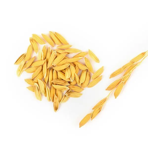 
 Натуральная рисовая шелуха, оптовая продажа, низкая цена от вьетнамской компании  