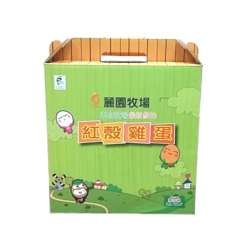 Custom Printed Sturdy Corrugated Tall Gable Paper Boxes with Handle