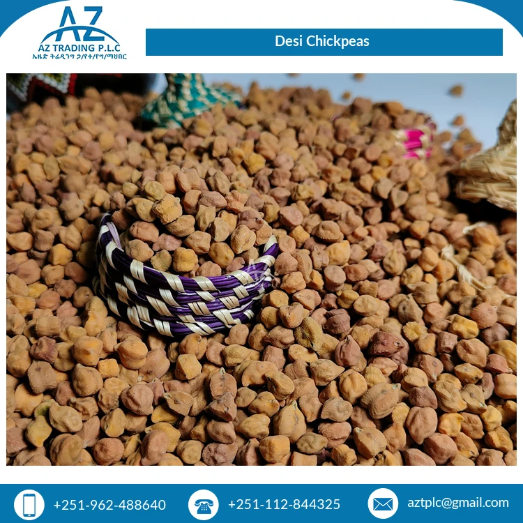 Wide Selling Direct Factory Sale Chickpeas Natural Organic Chickpeas/Kabuli Chick Peas