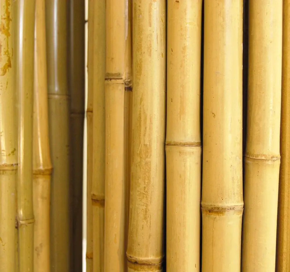 Natural Bamboo Pole Wholesales
