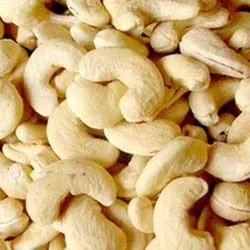 Cashew Kernel rich in calcium low in carbohydrates CASHEW KERNEL WW180 WW240 WW320 WW450 ka